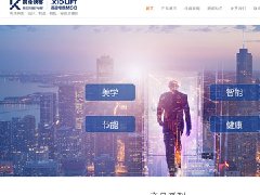 西藏英倫快客電梯有限公司網站建設